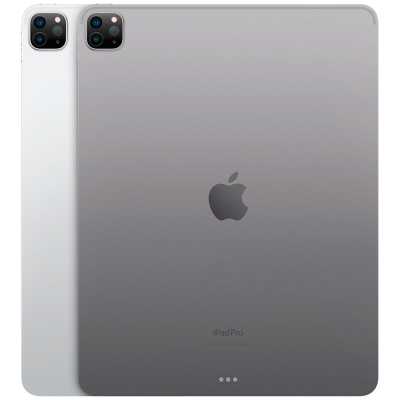 Apple iPad Pro Grey, 32,8 cm (12.9"), 8GB RAM, 256GB, 12MP, iPadOS