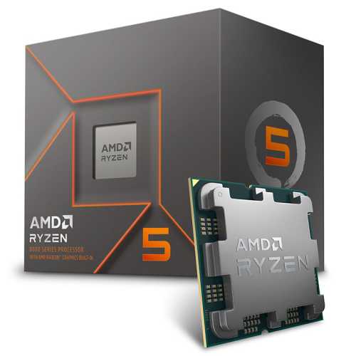 AMD Ryzen 5 8600G 5,0 GHz (Phoenix) AM5 - Boxed