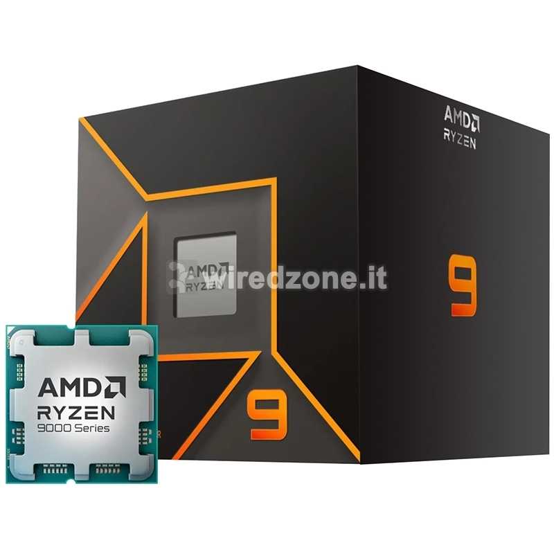 AMD Ryzen 9 9900X 4,4 Ghz (Granite Ridge) AM5 - Boxed