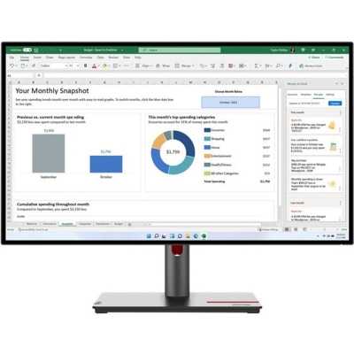 Lenovo ThinkVision P27h-30, 27", WQHD, 60Hz, IPS, Pivot - USB-C, DP, HDMI