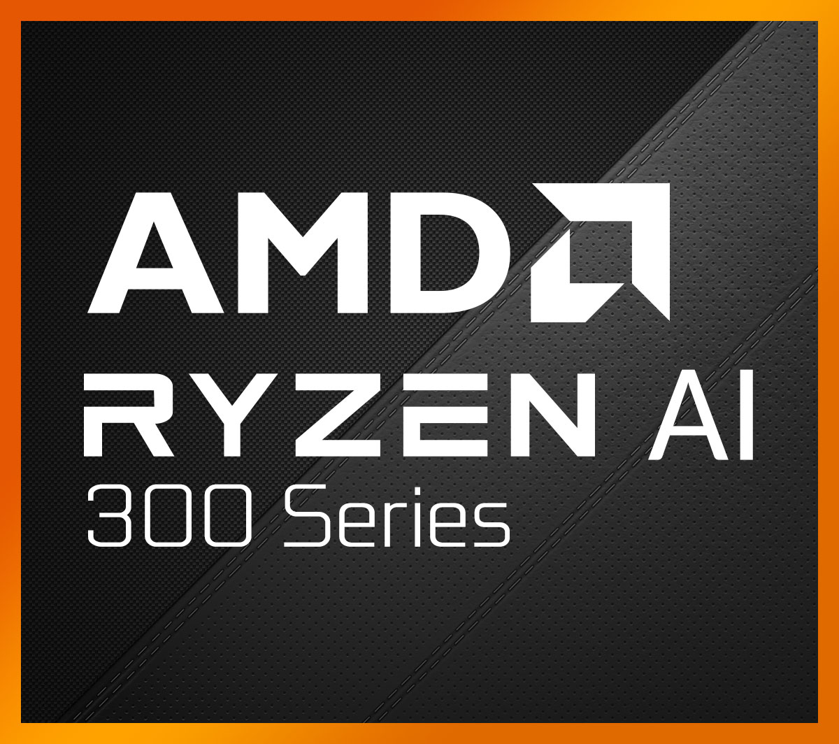 Processore AMD Ryzen 300 Series